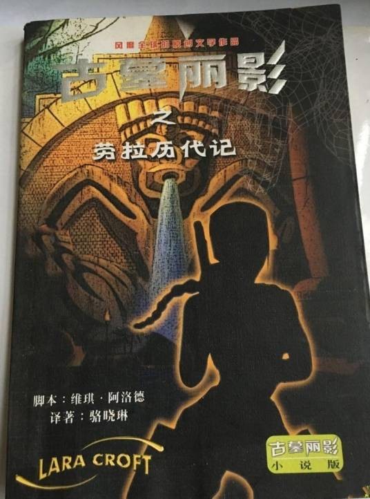 古墓丽影（骆晓琳所著小说）