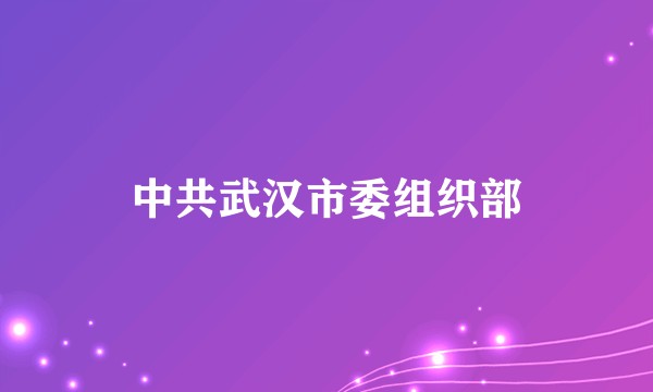 中共武汉市委组织部