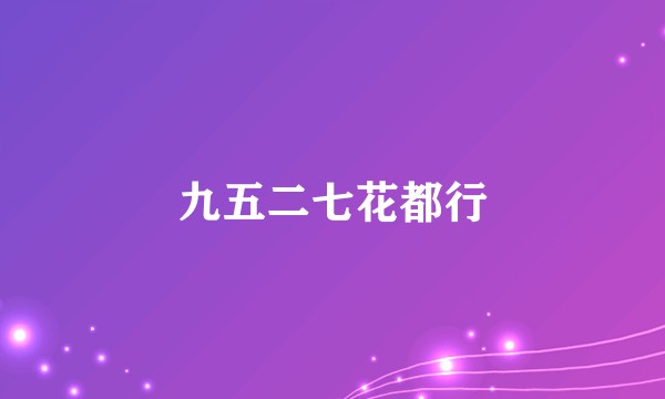 九五二七花都行