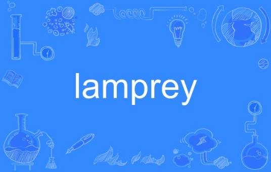 lamprey