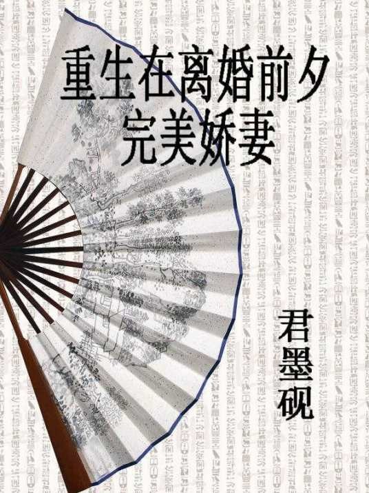 重生在离婚前夕：完美娇妻