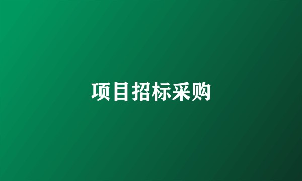 项目招标采购