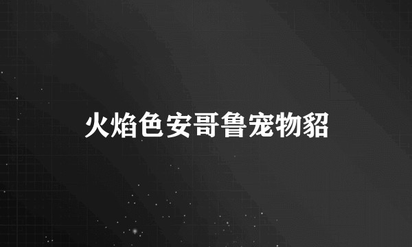 火焰色安哥鲁宠物貂