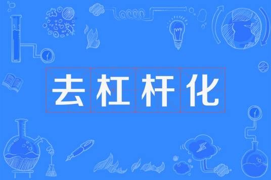 去杠杆化