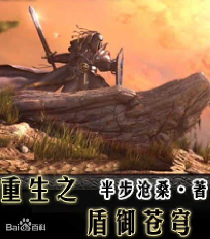 重生之盾御苍穹