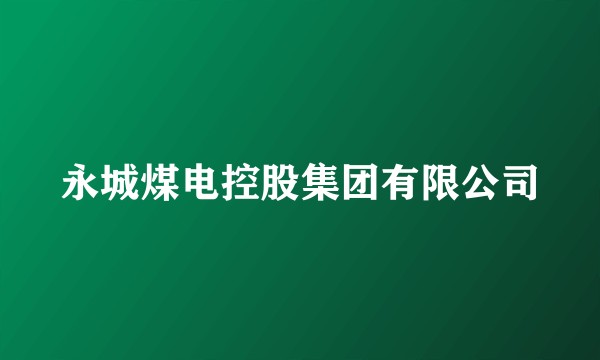 永城煤电控股集团有限公司