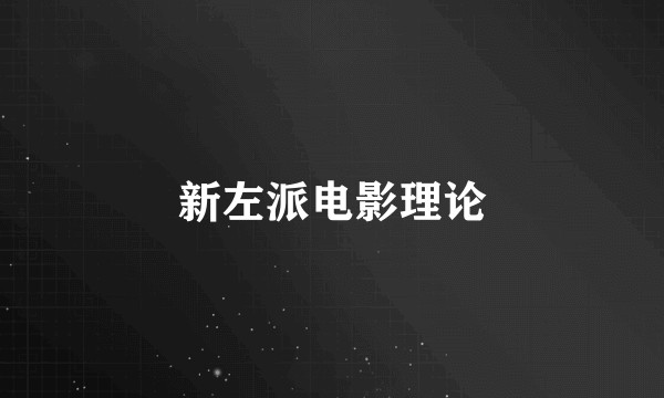 新左派电影理论