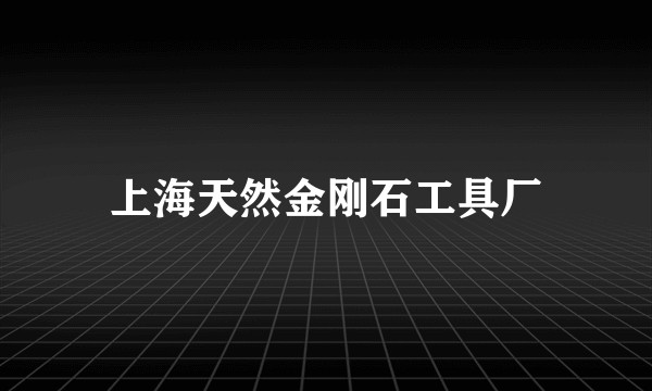 上海天然金刚石工具厂