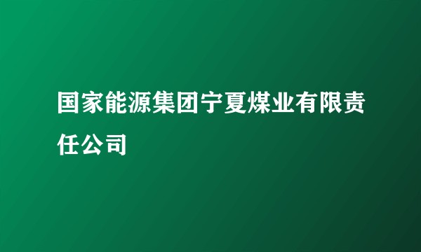 国家能源集团宁夏煤业有限责任公司
