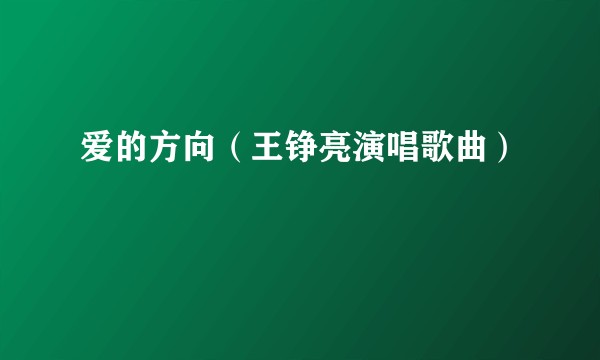 爱的方向（王铮亮演唱歌曲）