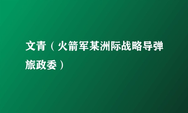 文青（火箭军某洲际战略导弹旅政委）