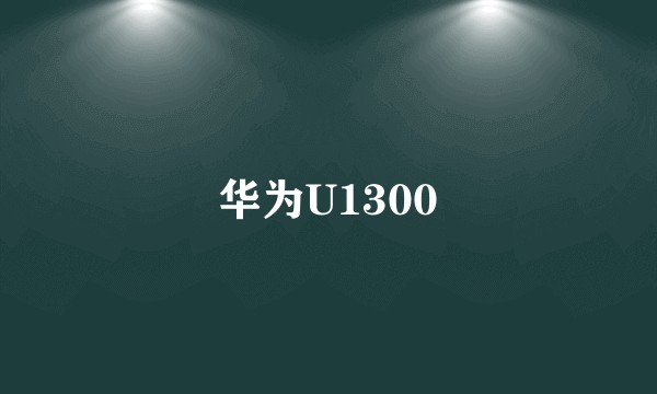 华为U1300