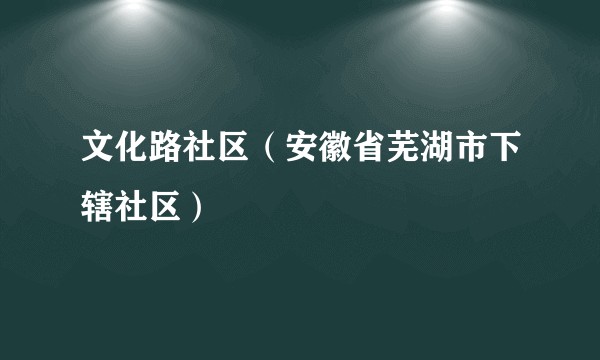 文化路社区（安徽省芜湖市下辖社区）