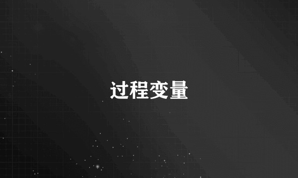 过程变量