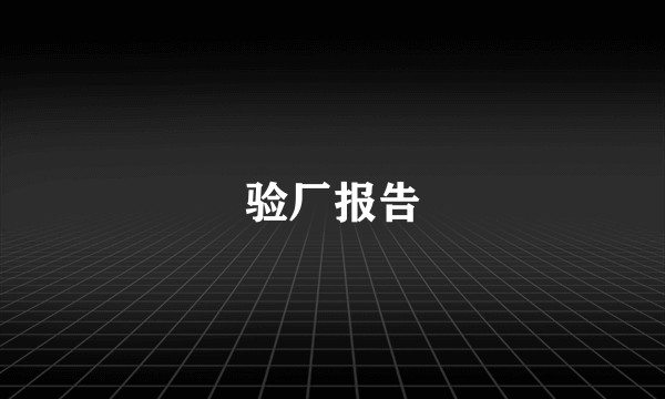 验厂报告