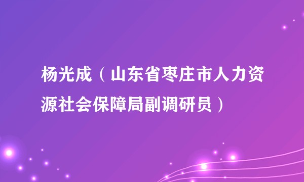 杨光成（山东省枣庄市人力资源社会保障局副调研员）