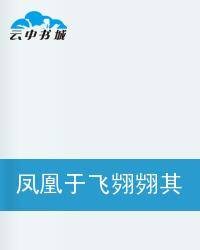 凤凰于飞翙翙其羽