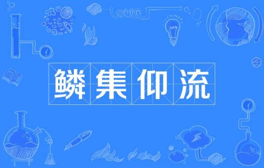 鳞集仰流