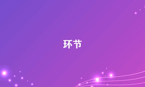 环节