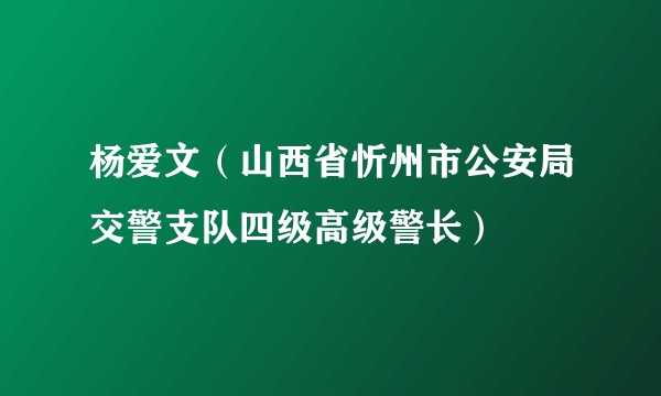 杨爱文（山西省忻州市公安局交警支队四级高级警长）
