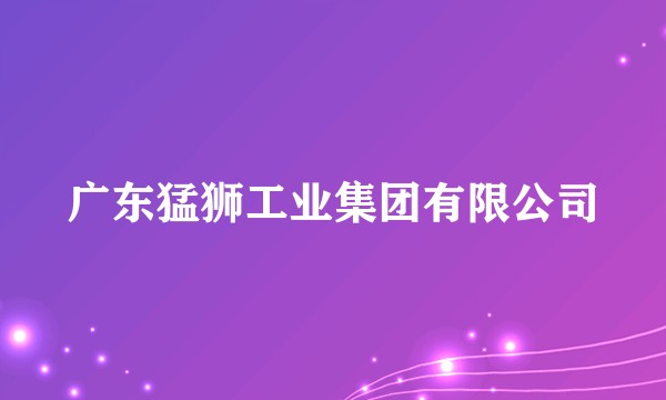 广东猛狮工业集团有限公司