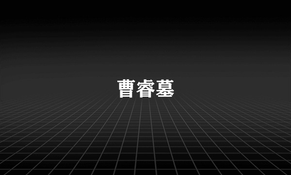曹睿墓