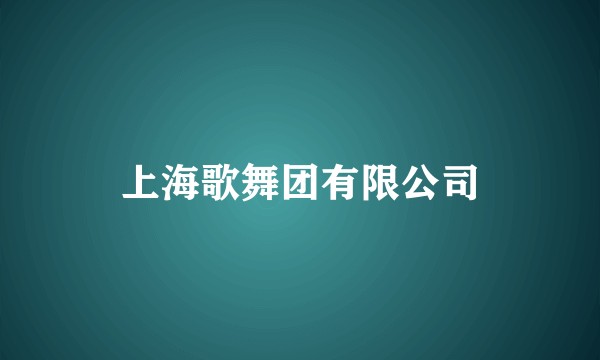 上海歌舞团有限公司