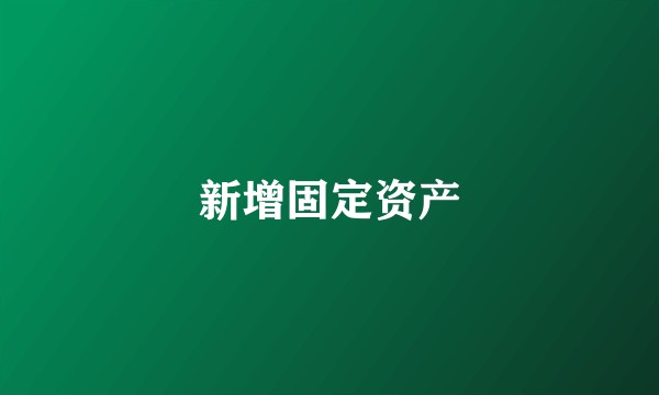 新增固定资产