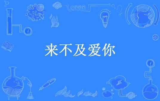 来不及爱你（阿聂所著小说）