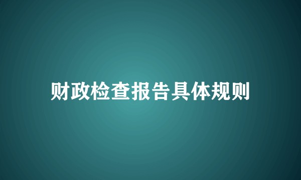 财政检查报告具体规则