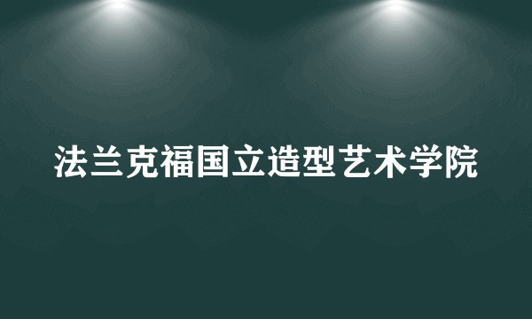 法兰克福国立造型艺术学院