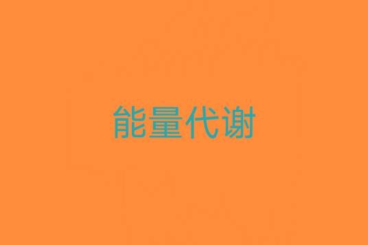 能量代谢(科学术语)