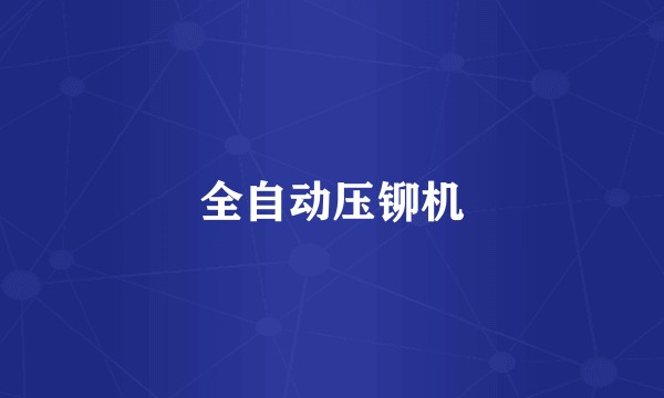 全自动压铆机