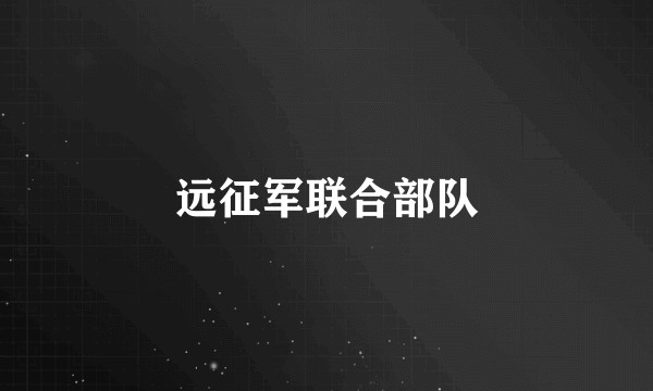 远征军联合部队