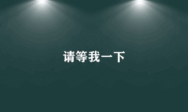请等我一下