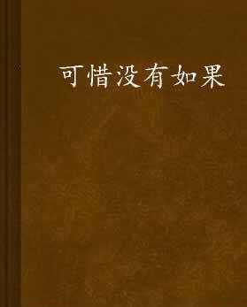 可惜没有如果（半岛夏所著小说）