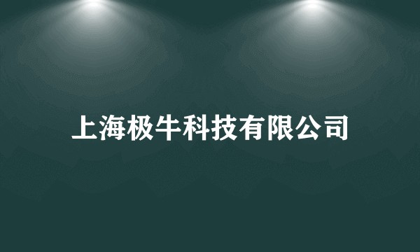 上海极牛科技有限公司