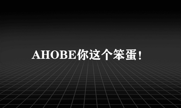 AHOBE你这个笨蛋！