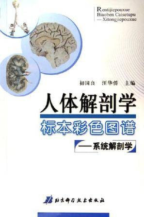 人体解剖学标本彩色图谱