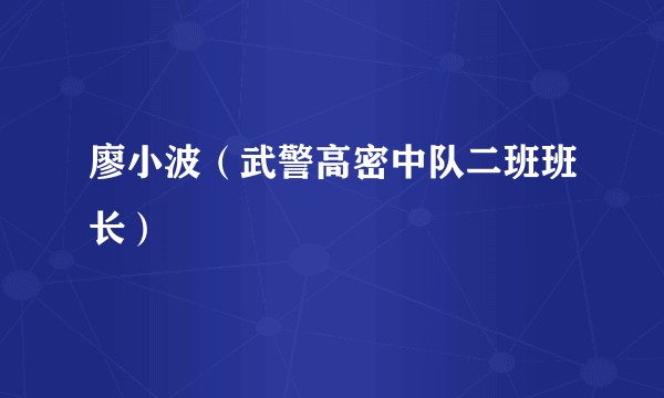 廖小波（武警高密中队二班班长）