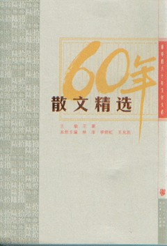 60年小小说精选