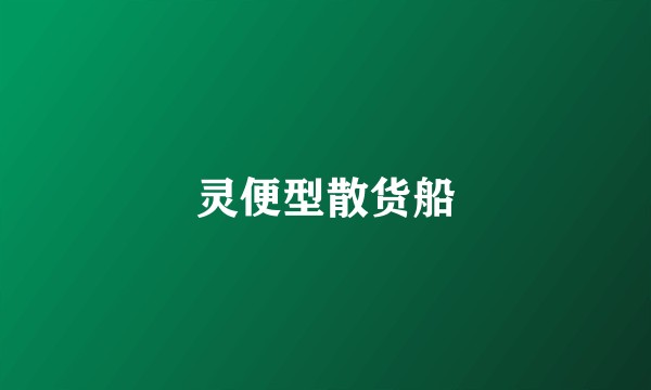 灵便型散货船