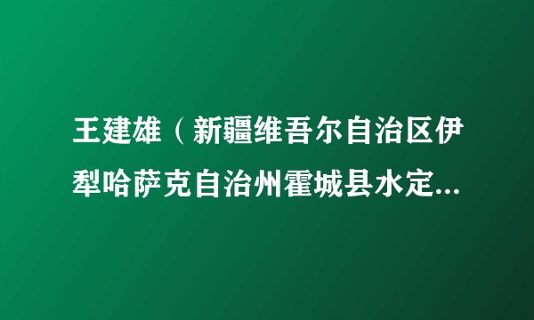 王建雄（新疆维吾尔自治区伊犁哈萨克自治州霍城县水定镇党委书记）