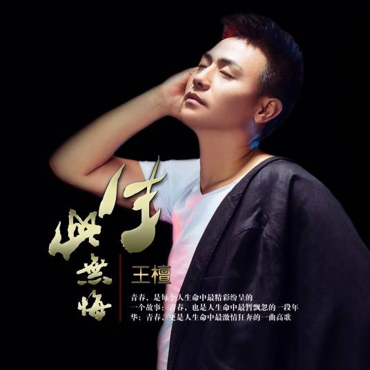 此生无悔（歌曲）