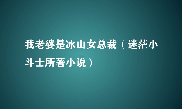我老婆是冰山女总裁（迷茫小斗士所著小说）