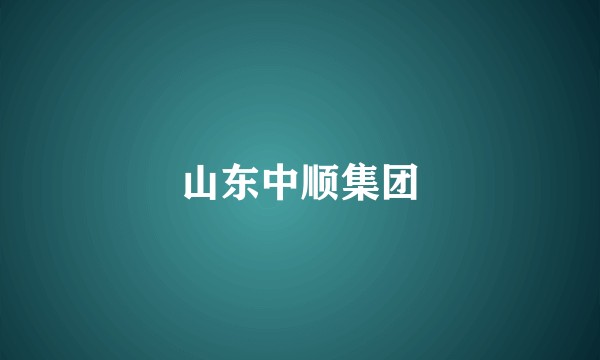 山东中顺集团
