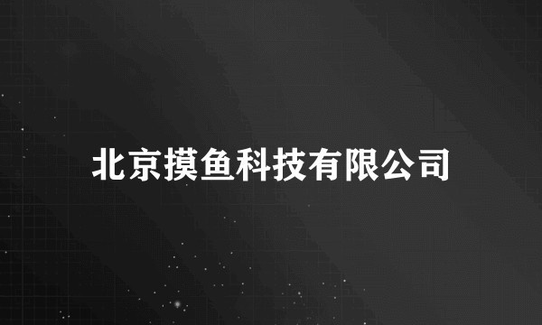 北京摸鱼科技有限公司