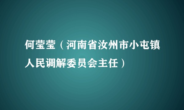 何莹莹（河南省汝州市小屯镇人民调解委员会主任）