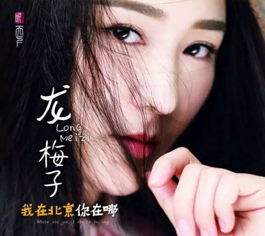 我在北京你在哪（龙梅子第九张专辑）
