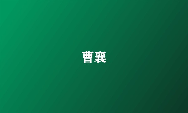 曹襄